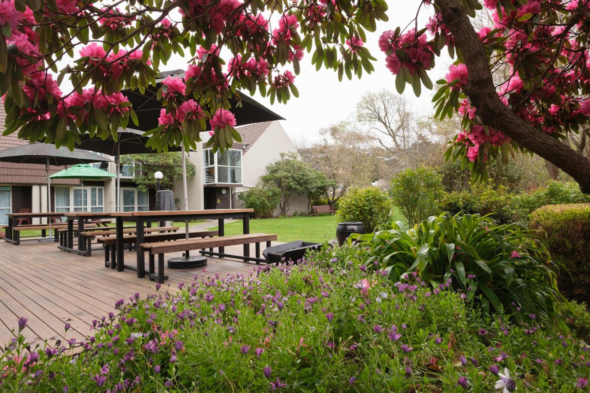 Dunedin Leisure Lodge - Distinction Extérieur photo